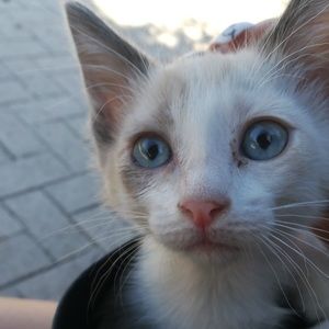 Meet your Posher, Lorena